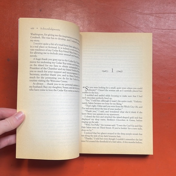 Postcards From Cedar Key paperback book by Terri Dulong - Picture 7 of 7